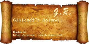 Gibicsár Roland névjegykártya